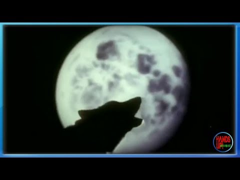 Empyre One & Enerdizer - Moonlight Shadow (Flashback One Video Edit)