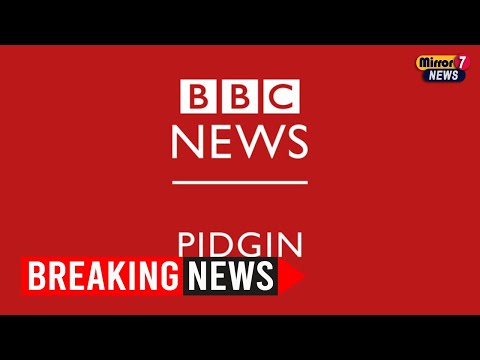 Hilarious Wildlife Moments: 2023 Comedy Wildlife Photography Awards Finalists