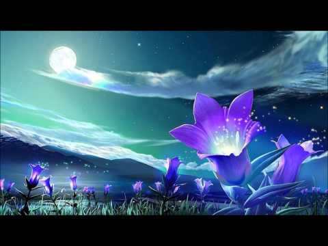 Bright Future | Ambient Chill-Out | Magic, Xonez, and DJ Sunburst Collab