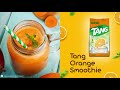 Tang-tails presents - Tang Orange Smoothie Recipe