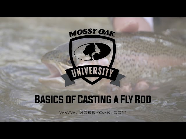 How to Fly Fish- Beginner Fly Casting 