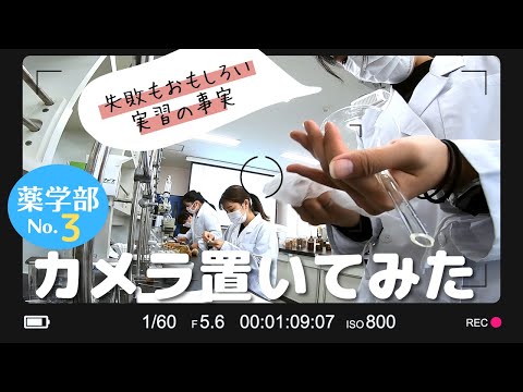 心理学科 実習ってじつは面白い！？薬学部学生さんの授業にお邪魔しまーす！愛学薬学部にこっそりカメラを置いてみた！～実習室編～