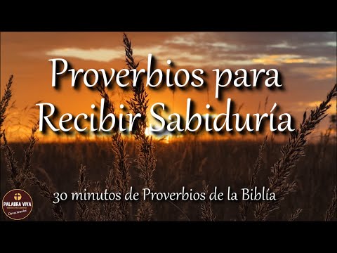 Proverbios para recibir sabiduría de parte de Dios | Biblia hablada | Bible audio