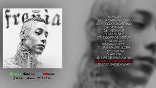 Mujer Peligrosa Lyrics English Translation