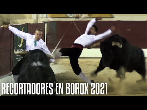 ⚠️ ¡UN TORO BRAVO DE 600KG PARA LOS RECORTADORES! · 💥 CONCURSO DE RECORTES EN BOROX