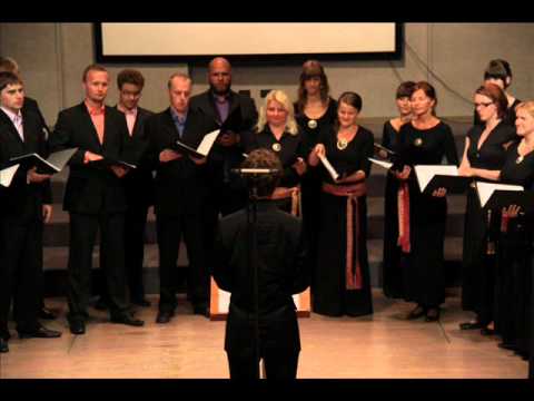 Video Flash Seghizzi 2011 - Collegium Musicale (d)