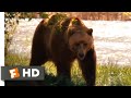 Did You Hear About The Morgans 2009 Grizzly Assassin Scene 8 10 Movieclips