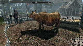 Skyrim SE Ep 191 XP32 Maximum Skeleton Special Extended – XPMSSE
