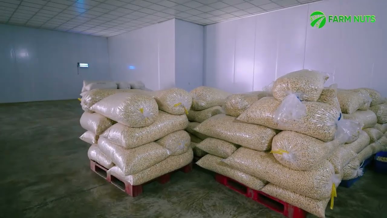 Farm Nuts Cashew Processing Plant Tour