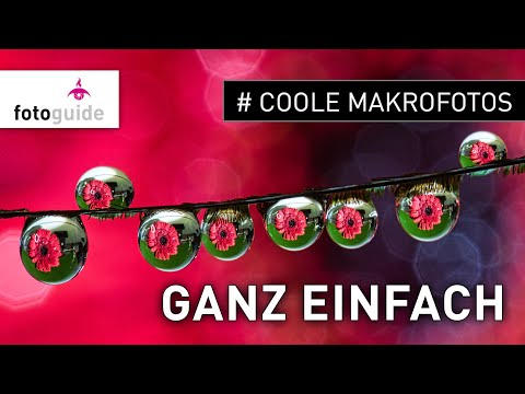 # Cool macro photos – so easy!