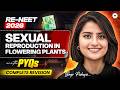 RE NEET 2026 Sexual Reproduction In Flowering Plants With PYQ S Complete Revision Seep Pahuja