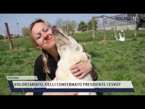 2021-05-20 TOSCANA - VOLONTARIATO, GELLI CONFERMATO PRESIDENTE CESVOT