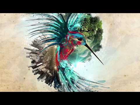 Jakare - Schizophonia (Full EP Tryptology Mix) (Ethnotronic, Folktronic, Chill Out, Deep, Shamanic)