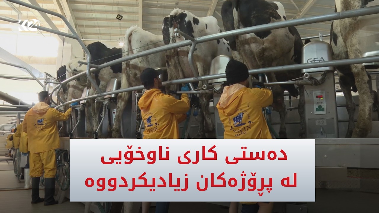 ڤیدیۆ | لە دهۆک رێژەی دەستی كاری ناوخۆیی لە پڕۆژەكان 95% تێپەڕاندووە