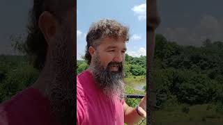 Auction Info Video! Hillsauctionservices.hibid.com