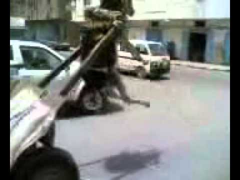 Zu viel auf wagen getan Esel geht hoch