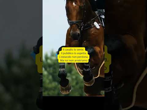 Non mollare mai. Il video che serve prima della gara.