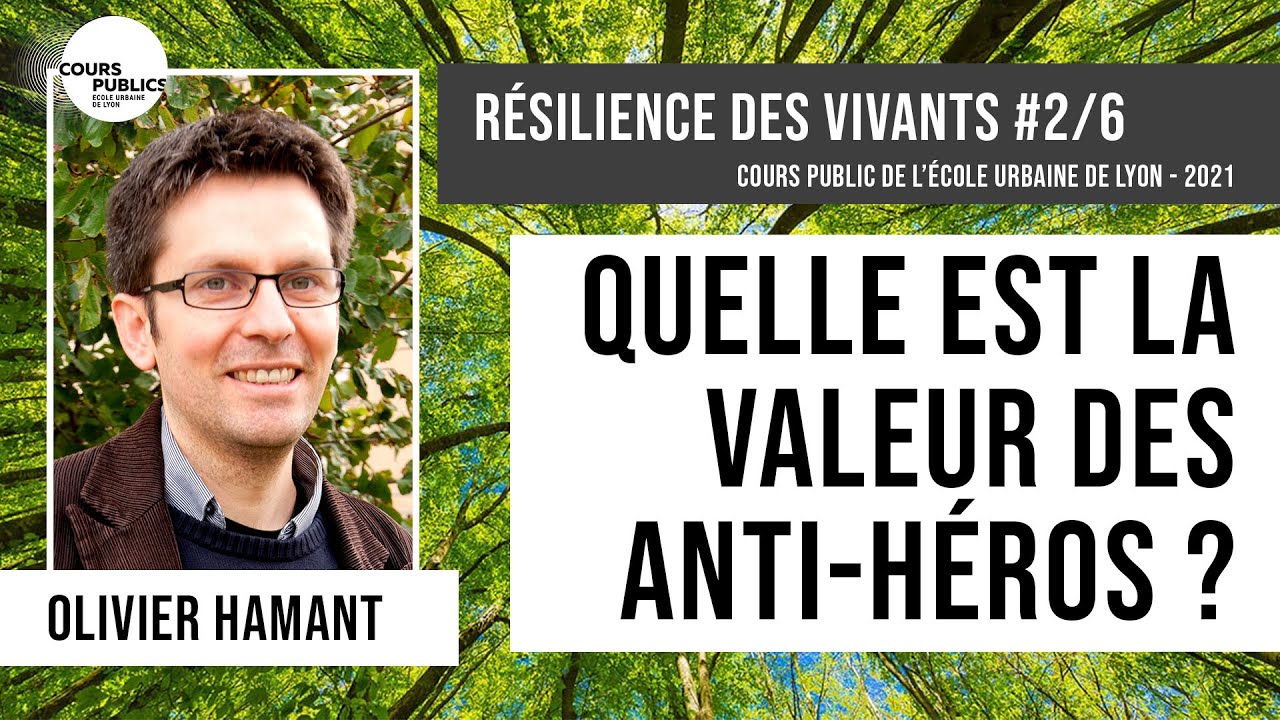 Quelle est la valeur des anti-héros ? / Olivier Hamant - Résilience des vivants #2/6