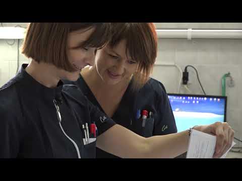 Intervju - Danijela Miše, mag. med. techn.