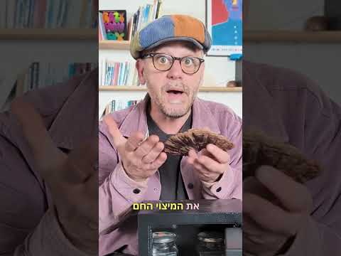 הפטרייה שלכם היא כספת נעולה