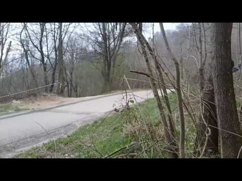 8 Rally Del Grifo 2017