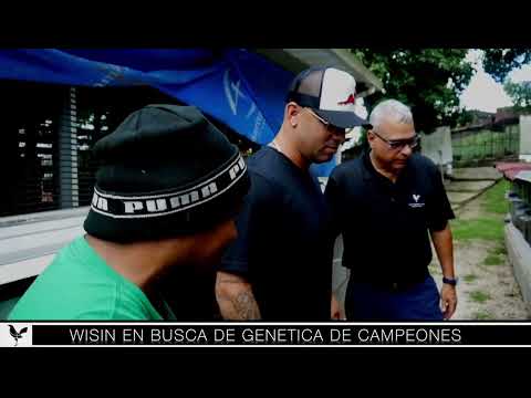 Wisin de visita en la galleria del lejendario de los Gallos Danny Juan