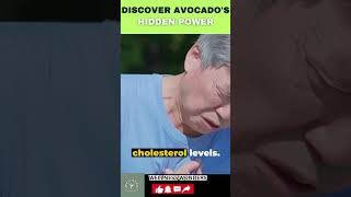 Discover Avocado