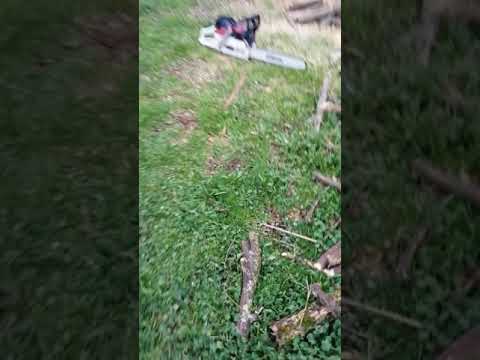 Greencut gs7500/husqvarna 372 xp