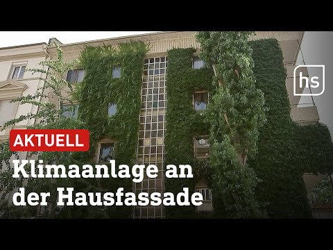 Wie Fassadenbegrünung ein Haus bis zu elf Grad kühler machen kann | hessenschau