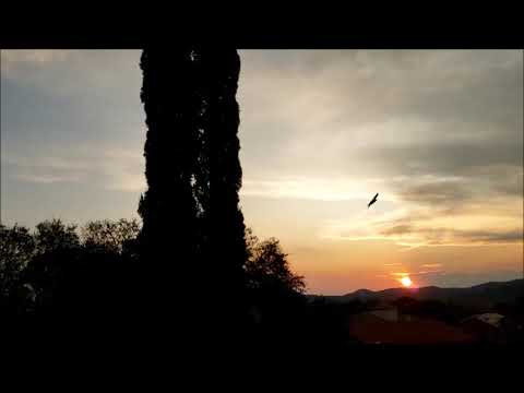 Joshua Redman Trio, Boston (2014)