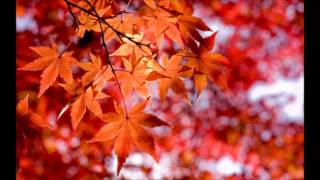 MOTD #2 : Big Deal - Distant Neighborhood