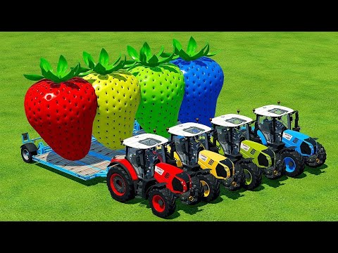 LOAD & TRANSPORT GIANT COLORED STRAWBERRY WITH CLAAS TRACTORS - Farming Simulator 22