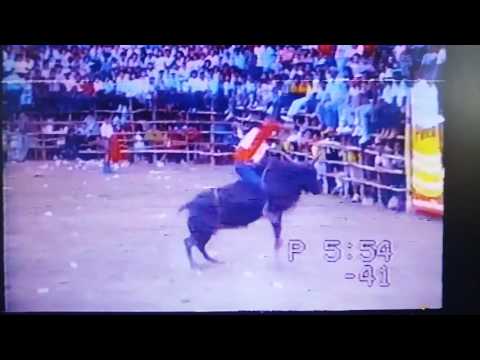 "CARLOS CHAPA" CÍVICAS LA CRUZ 88