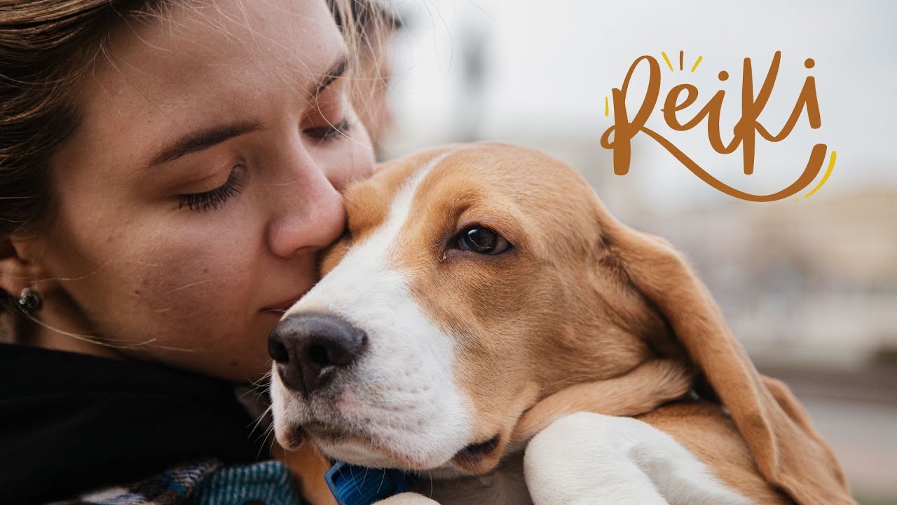 Oração para Animais Doentes com Ho'oponopono e Reiki.