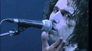 Andrés Calamaro - Nos volveremos a ver. Made in Argentina. Directo 2005
