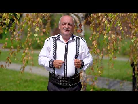 Aurel Mascovici - De la Alba la Cugir