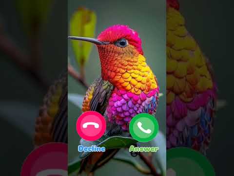 #ringtone #smartphone #music #ringtones