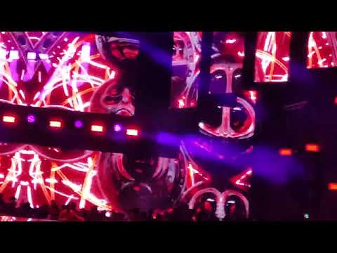 guy J mandarine Park mid 18-02-23