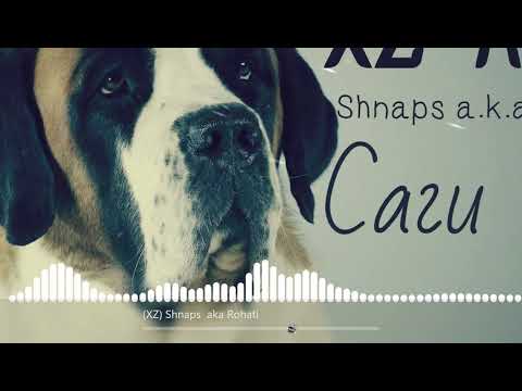 XZ Shnaps aka Rohati - Саги пир