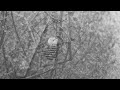 Grey rain of Sweden - Snöret vocal group