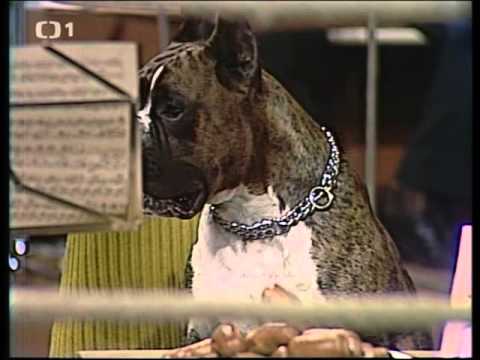 Pavel Bobek - Pojď dál a zpívej (1980)