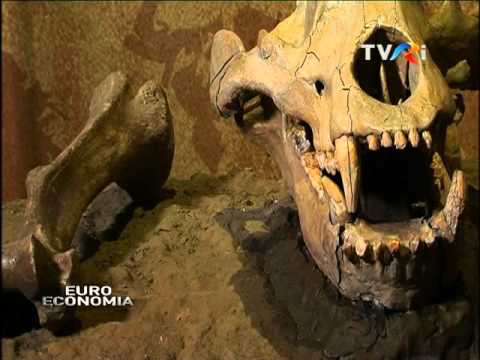 CURTEA DOMNEASCĂ TÂRGOVIȘTE