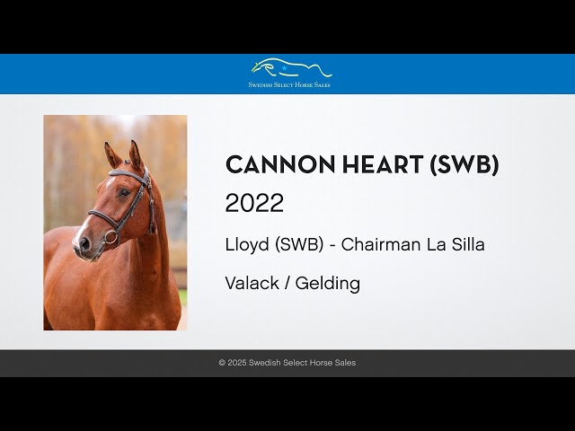 Cannon Heart - Gaits