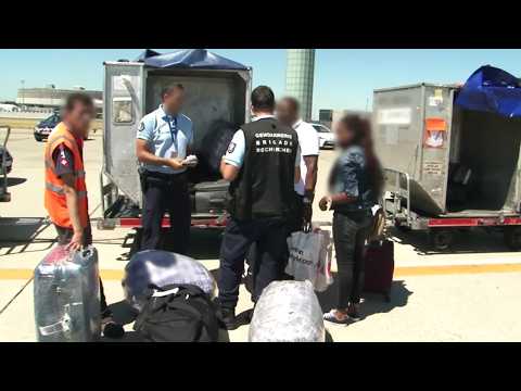 Roissy: they dismantle an international network of traffickers
