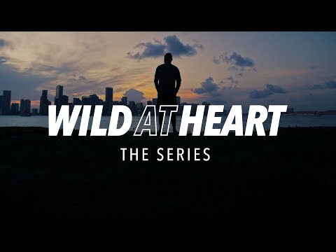 Trailers Wild Heart