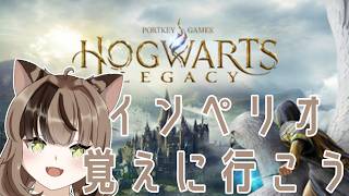 【#ゲーム実況 】【 #ホグワーツレガシー 】攻撃魔法のエフェクトかっこいいよね【錆宮くろにけ】