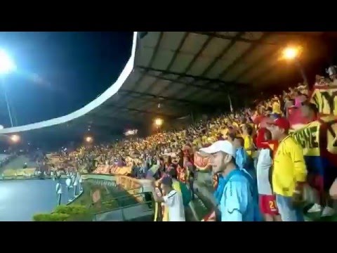 "Quindio vs. DEPORTIVO PEREIRA - LOBO SUR PEREIRA" Barra: Lobo Sur • Club: Pereira
