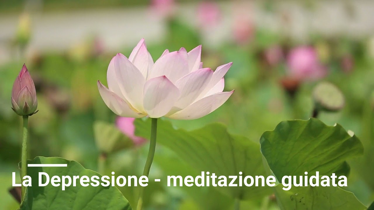 Giovanna Maria Gatti-35