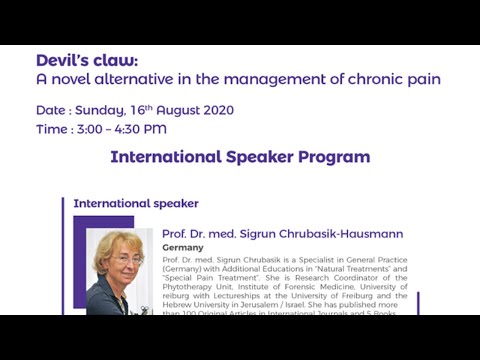 Devil's claw: A novel alternative in the management of chronic pain