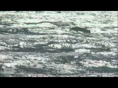 State Of Texas Insurance Board and Similar Products and